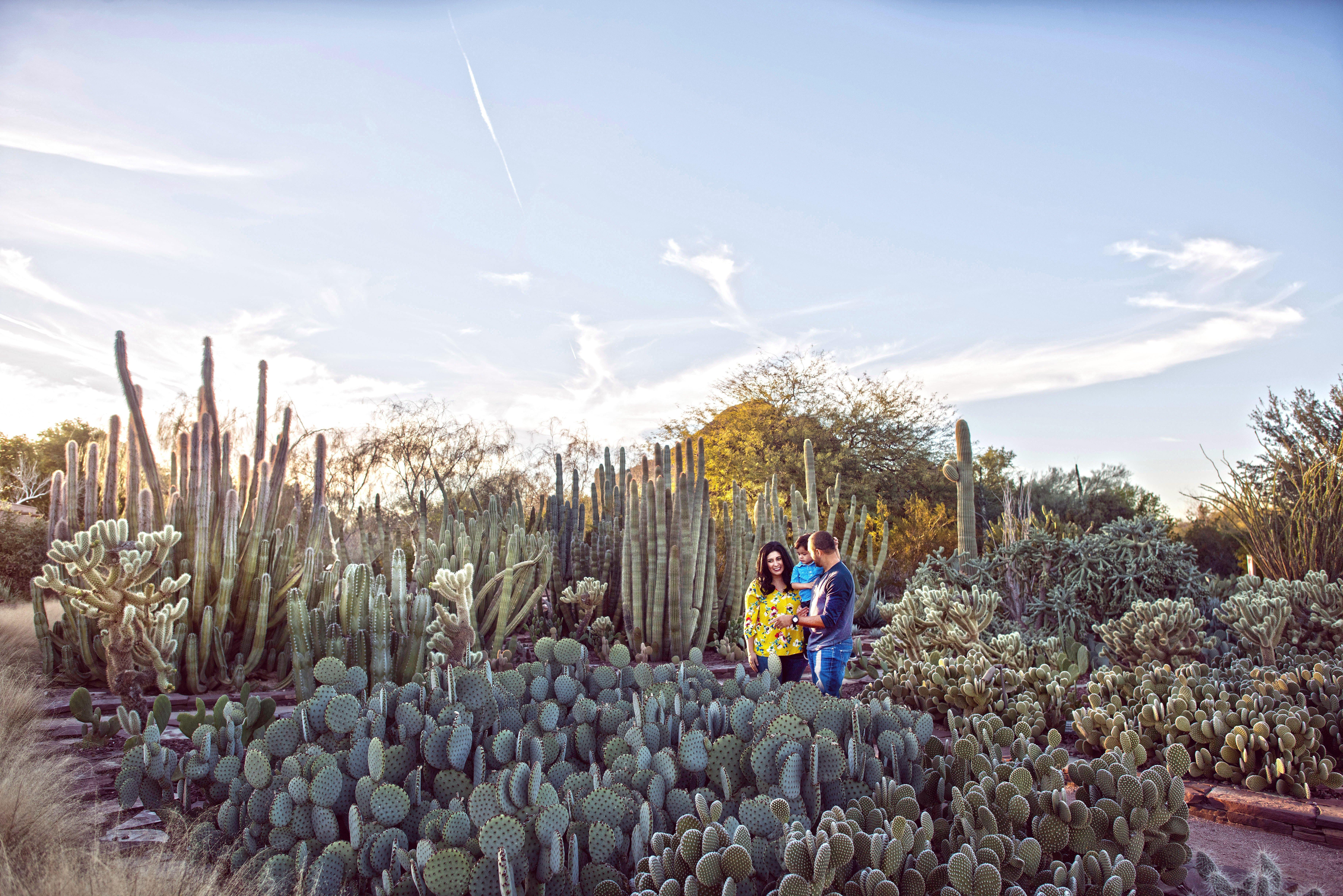 Holiday Inn Express & Suites - Phoenix - Airport North By Ihg Exteriér fotografie